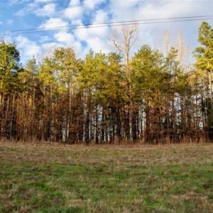 Photo of 20 acres of Hunting and Recreational Land For Sale in Halifax County VA!