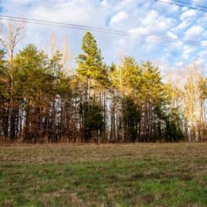 Photo of 20 acres of Hunting and Recreational Land For Sale in Halifax County VA!