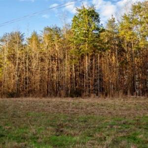 Photo of 20 acres of Hunting and Recreational Land For Sale in Halifax County VA!