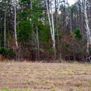 Photo of 20 acres of Hunting and Recreational Land For Sale in Halifax County VA!