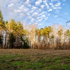 Photo of 20 acres of Hunting and Recreational Land For Sale in Halifax County VA!