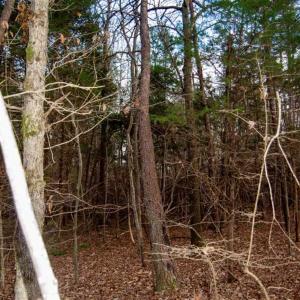 Photo of 20 acres of Hunting and Recreational Land For Sale in Halifax County VA!