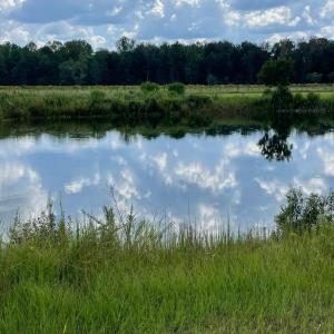 Photo #27 of 1717 Heritage Rd., Loris, SC 51.3 acres