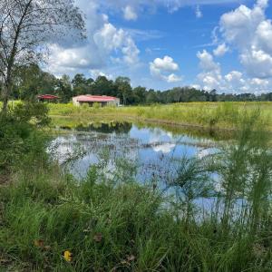 Photo #23 of 1717 Heritage Rd., Loris, SC 51.3 acres