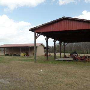 Photo #14 of 1717 Heritage Rd., Loris, SC 51.3 acres
