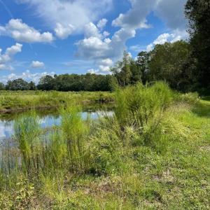 Photo #36 of 1717 Heritage Rd., Loris, SC 51.3 acres