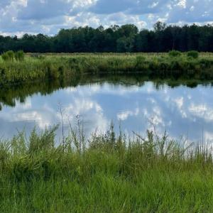 Photo #29 of 1717 Heritage Rd., Loris, SC 51.3 acres