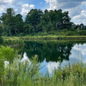 Photo #31 of 1717 Heritage Rd., Loris, SC 51.3 acres