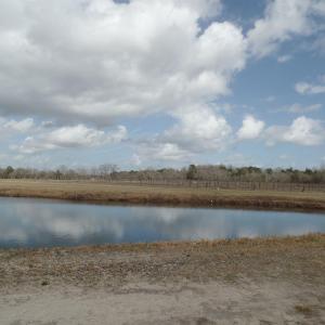 Photo #2 of 1717 Heritage Rd., Loris, SC 51.3 acres