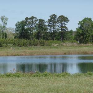 Photo #20 of 1717 Heritage Rd., Loris, SC 51.3 acres