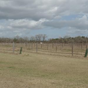 Photo #6 of 1717 Heritage Rd., Loris, SC 51.3 acres