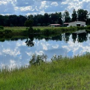 Photo #28 of 1717 Heritage Rd., Loris, SC 51.3 acres