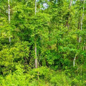 Photo #5 of TBD Highway 111, Little River, SC 8.4 acres