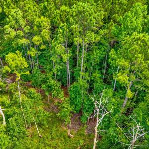 Photo #10 of TBD Highway 111, Little River, SC 8.4 acres