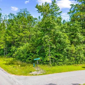 Photo #2 of TBD Highway 111, Little River, SC 8.4 acres