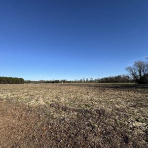 Photo #2 of TBD Ino Dr., Loris, SC 25.7 acres