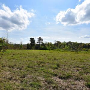 View of landscape featuring a rural view