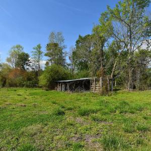 View of yard featuring an outbuilding and an outdo