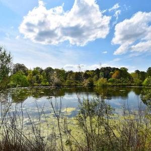 Property view of water with a view of trees