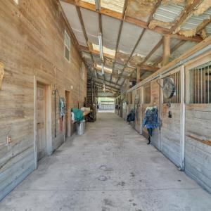 View of horse barn