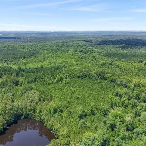 Photo #10 of 1351 Highway 90, Conway, SC 51.7 acres