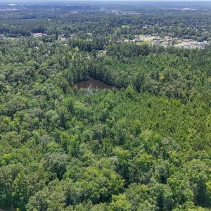 Photo #7 of 1351 Highway 90, Conway, SC 51.7 acres