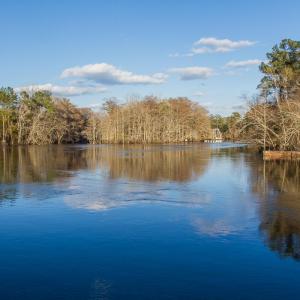 Photo #28 of 1351 Highway 90, Conway, SC 51.7 acres