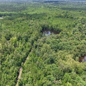 Photo #5 of 1351 Highway 90, Conway, SC 51.7 acres