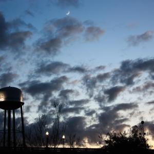 Photo #30 of 1351 Highway 90, Conway, SC 51.7 acres