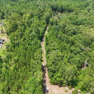 Photo #12 of 1351 Highway 90, Conway, SC 51.7 acres