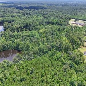 Photo #7 of 1351 Highway 90, Conway, SC 51.7 acres