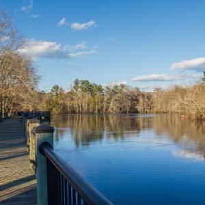 Photo #26 of 1351 Highway 90, Conway, SC 51.7 acres