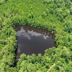 Photo #4 of 1351 Highway 90, Conway, SC 51.7 acres