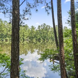 Photo #16 of 1351 Highway 90, Conway, SC 51.7 acres