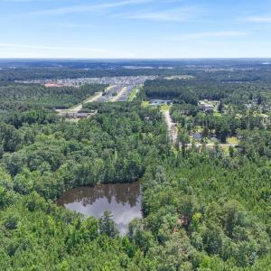 Photo #11 of 1351 Highway 90, Conway, SC 51.7 acres