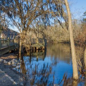 Photo #29 of 1351 Highway 90, Conway, SC 51.7 acres