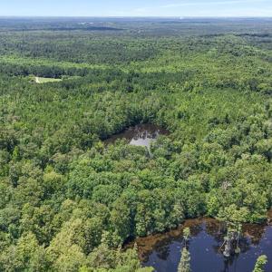 Photo #9 of 1351 Highway 90, Conway, SC 51.7 acres