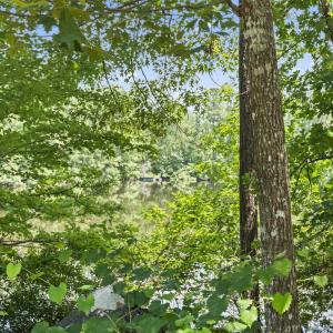 Photo #17 of 1351 Highway 90, Conway, SC 51.7 acres