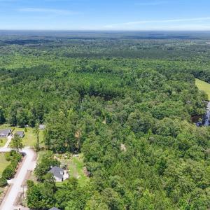 Photo #6 of 1351 Highway 90, Conway, SC 51.7 acres