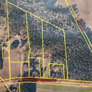 Photo #3 of LOTS 3 & 4 Anderson Bridge Rd, Coward, SC 8.3 acres