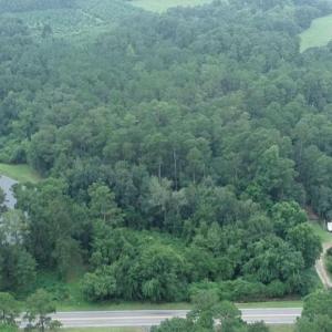 View of property location featuring a heavily wood