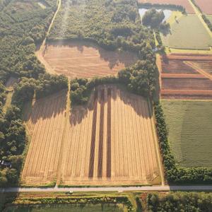 Photo #10 of 61.77 Acres-TBD Marion Church Rd., Salters, SC 61.8 acres