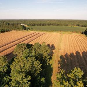 Photo #1 of 61.77 Acres-TBD Marion Church Rd., Salters, SC 61.8 acres