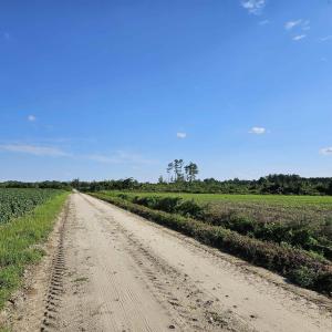 View of dirt / gravel road featuring a view of rur