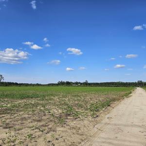 View of dirt / gravel road featuring a rural view