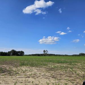 Photo #1 of 332 Old Georgetown Rd., Lake City, SC 88.5 acres