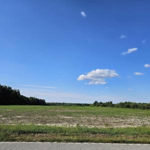 View of undeveloped land featuring rural landscape