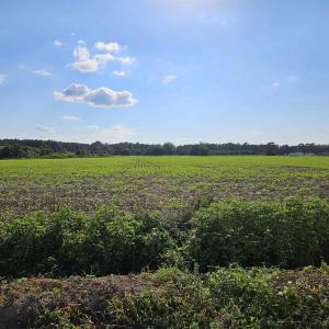 View of undeveloped land with rural landscape and
