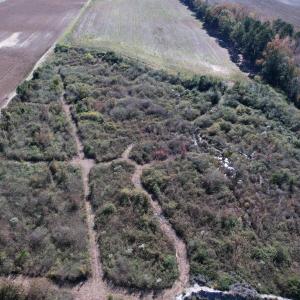 Photo #9 of 64 Acres-TBD Vox Hwy., Lake City, SC 64.0 acres