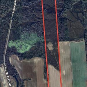 Photo #12 of 64 Acres-TBD Vox Hwy., Lake City, SC 64.0 acres